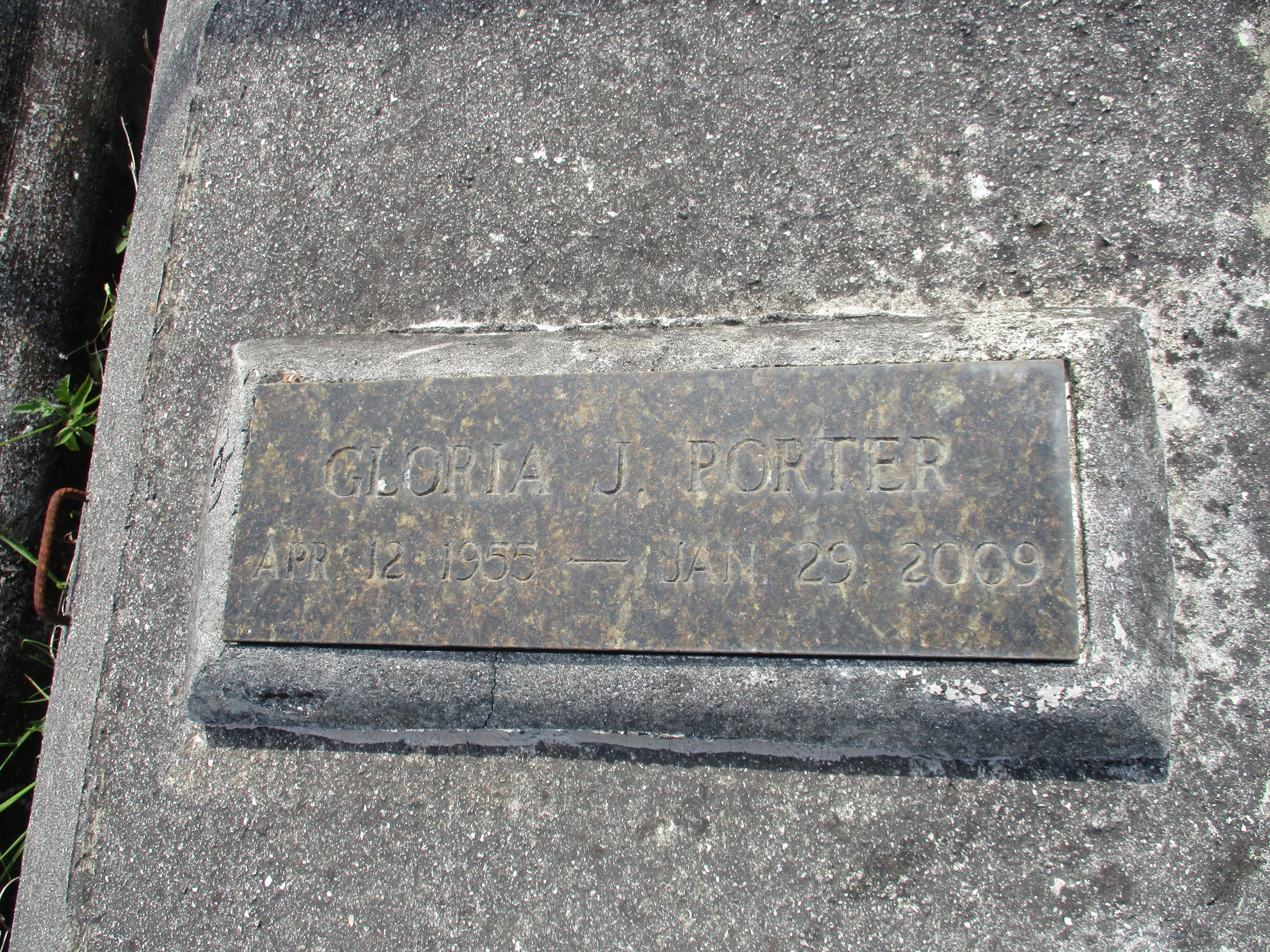 Gloria J Porter